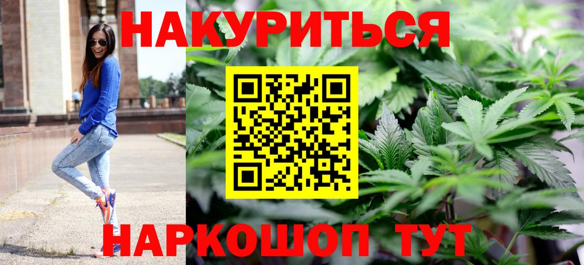 Марихуана сатива Гусев
