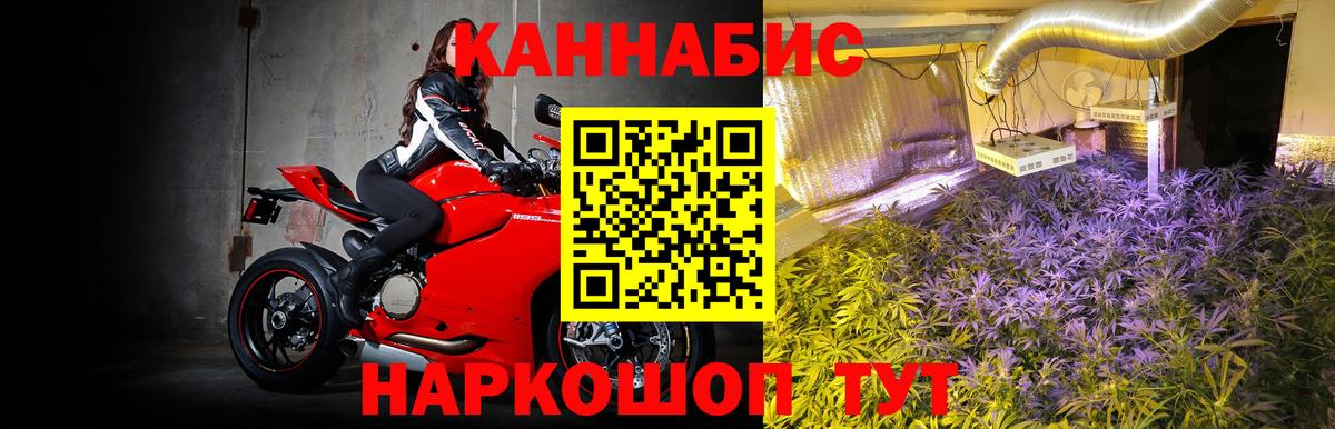 Гусев  МАРИХУАНА Bruce Banner  Вход с VPN  МАРИХУАНА THC 21%  Шишки марихуана план 